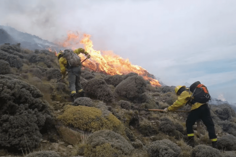 Indignación en Los Glaciares: turistas extranjeros encendieron fuego en el bosque