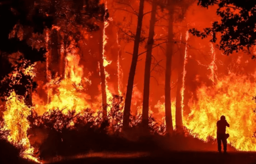 Patagonia en llamas: La campaña solidaria para equipar a los héroes que combaten el fuego