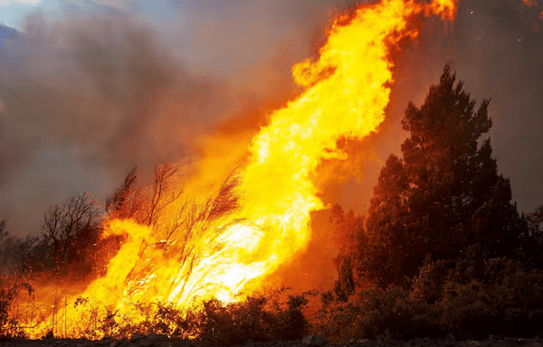 Crisis por incendios en Chubut: el fuego avanza hacia Villa Lago Rivadavia