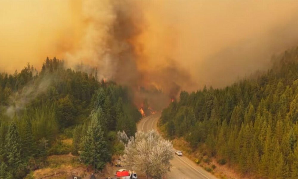 Solidaridad desde Cerri: campaña de donaciones para asistir a los afectados por los incendios en Chubut