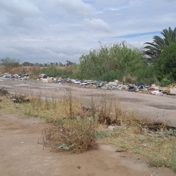 Parece que lo hacen a propósito»: la desesperación de los vecinos de calle Tierra del Fuego al 2900