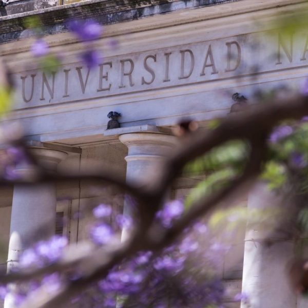 Educación y futuro: así comenzó el ingreso 2026 en la Universidad Nacional del Sur