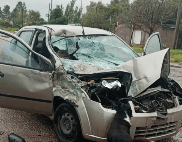 Tragedia en Ingeniero White: una mujer murió tras un fuerte choque entre un auto y un colectivo
